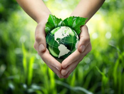 ROLLENLAND gruene Umwelt